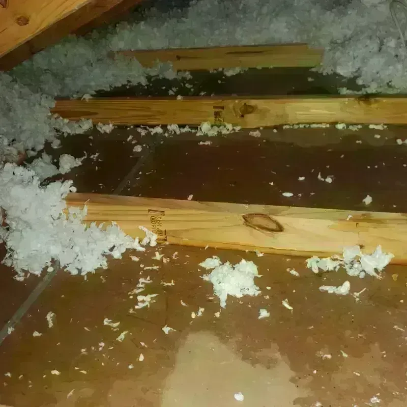 Attic Water Damage in Totowa, NJ